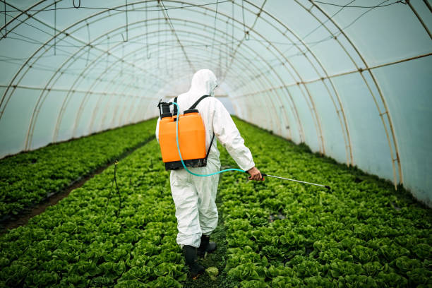 Best Mosquito Control Services  in Valhalla, NY