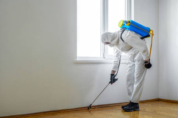 Insect Control in Valhalla, NY