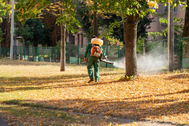 Best Mosquito Control Services  in Valhalla, NY