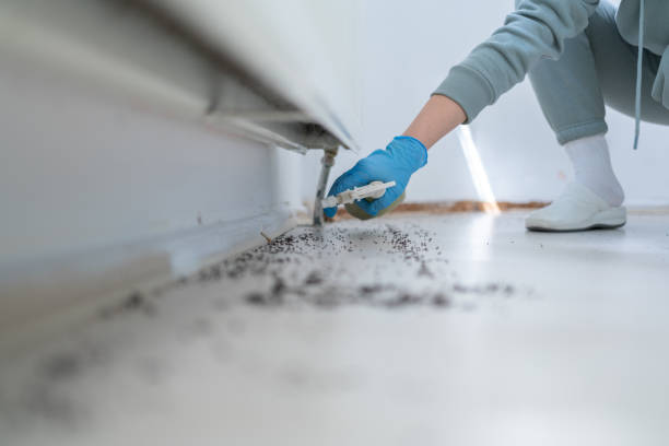Best Commercial Pest Control Services  in Valhalla, NY