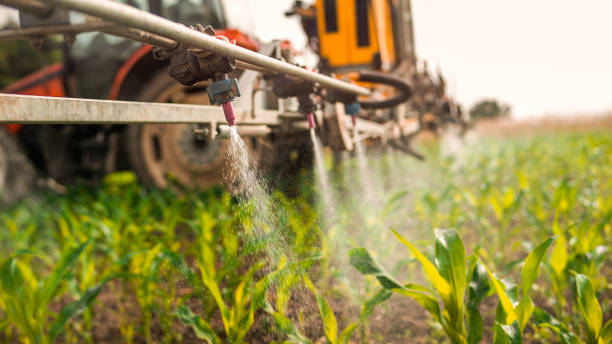 Best Mosquito Control Services  in Valhalla, NY